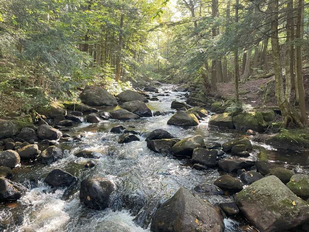 Park Image 8