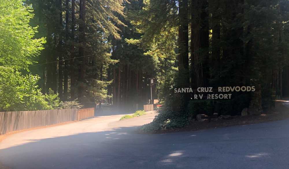 Santa Cruz Redwoods RV Resort, Felton, California - Photo 4
