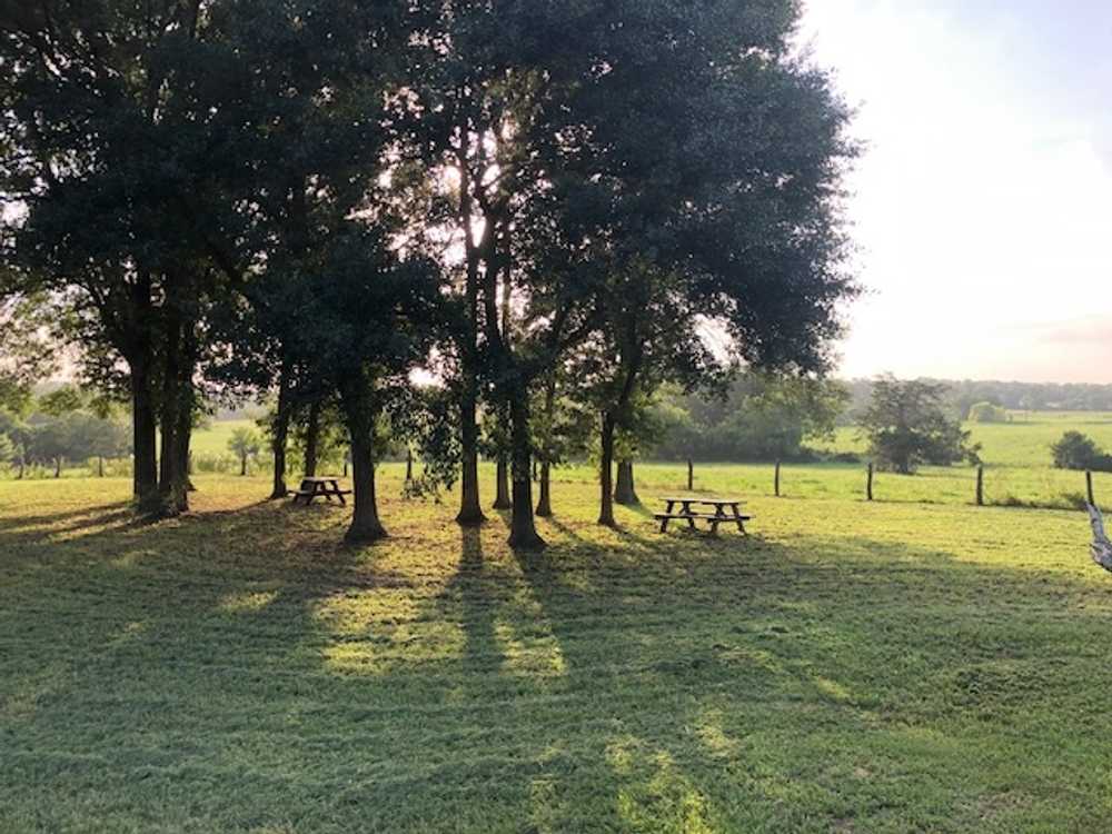 Park Image 9