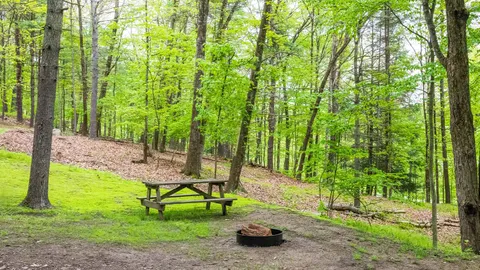 Rustic Tent — image 1 of 4