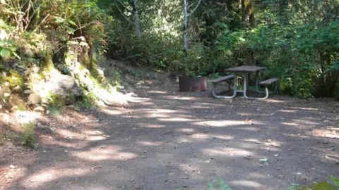 Brown Tent — image 1 of 6