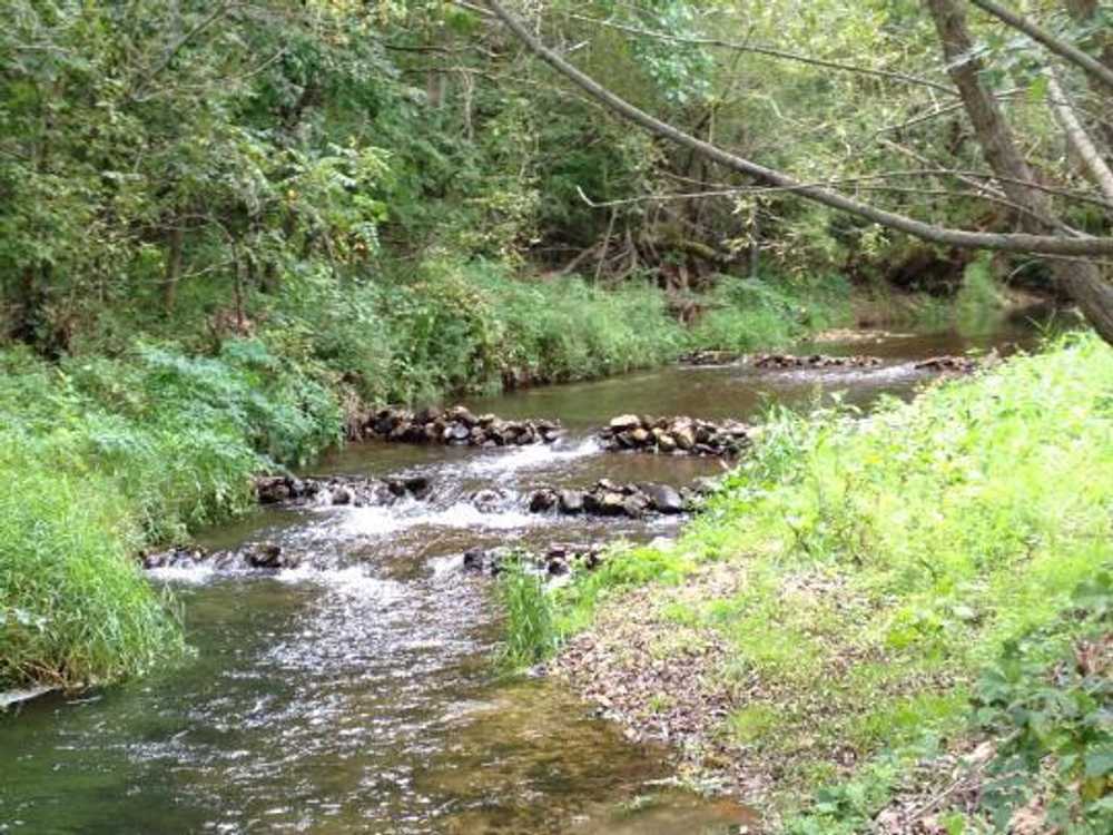 Red Barn Campground & Restaurant - Photo 3