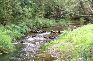Red Barn Campground & Restaurant – photo 3