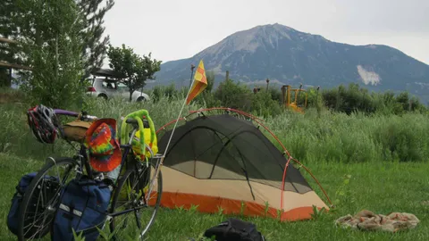 Lower Pond Field Campsites — image 2 of 4