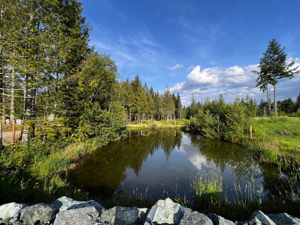Lily Pond RV - Photo 2