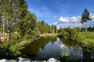 Lily Pond RV – photo 2