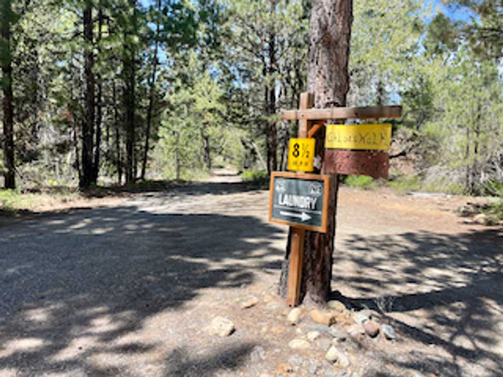 Park Image 10