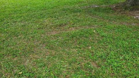SBL Site 312 - Unserviced (TEC) — image 1 of 2