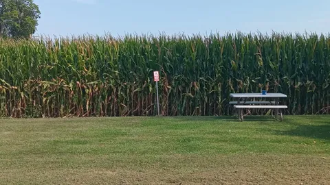 Dry Camping RV Site — image 1 of 6