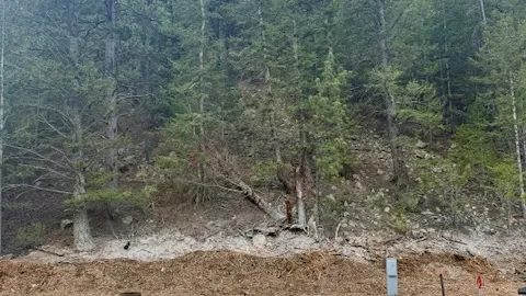 Short Back-In RV Site — image 6 of 6