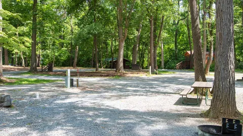 Woodland Premium Pull-Thru RV Site — image 6 of 6