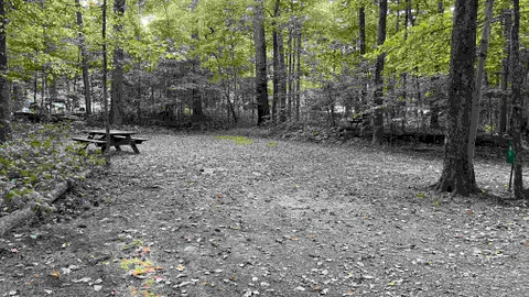 Tent / No Forest Amenity RV Site - 10 Person Maximum — image 2 of 10