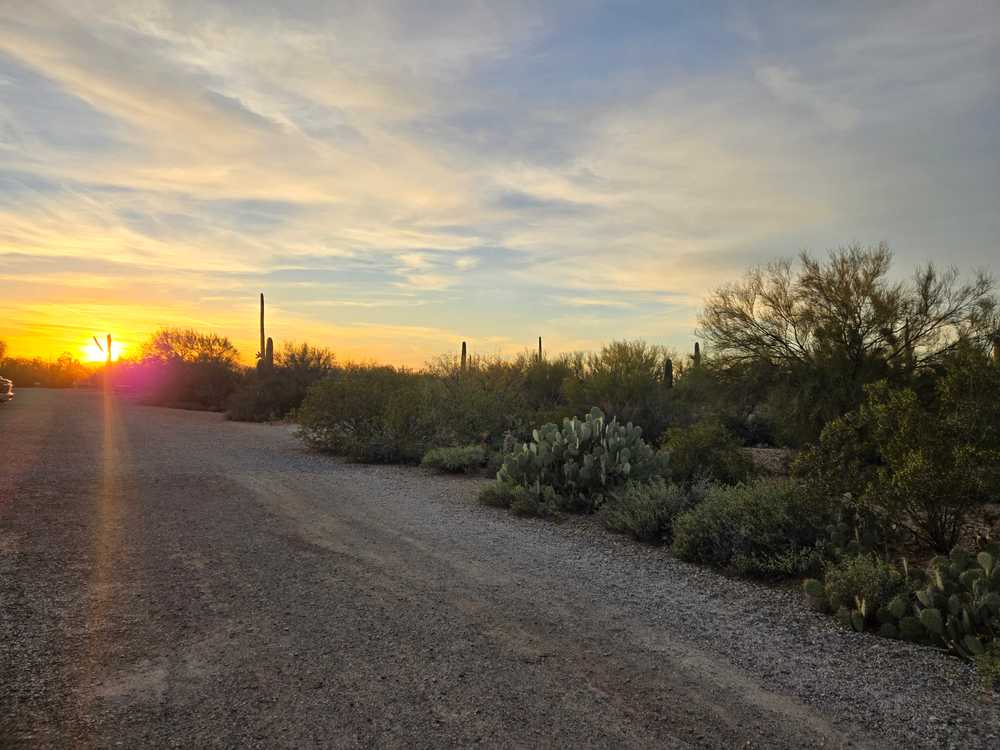 Desert Trails RV Resort (Age Restricted 40+) - Photo 5