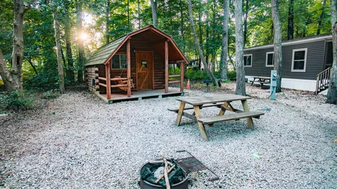 Camping Cabin 1 Room No Bathroom — image 3 of 3