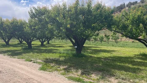 Apricot Lane Campsites — image 2 of 4