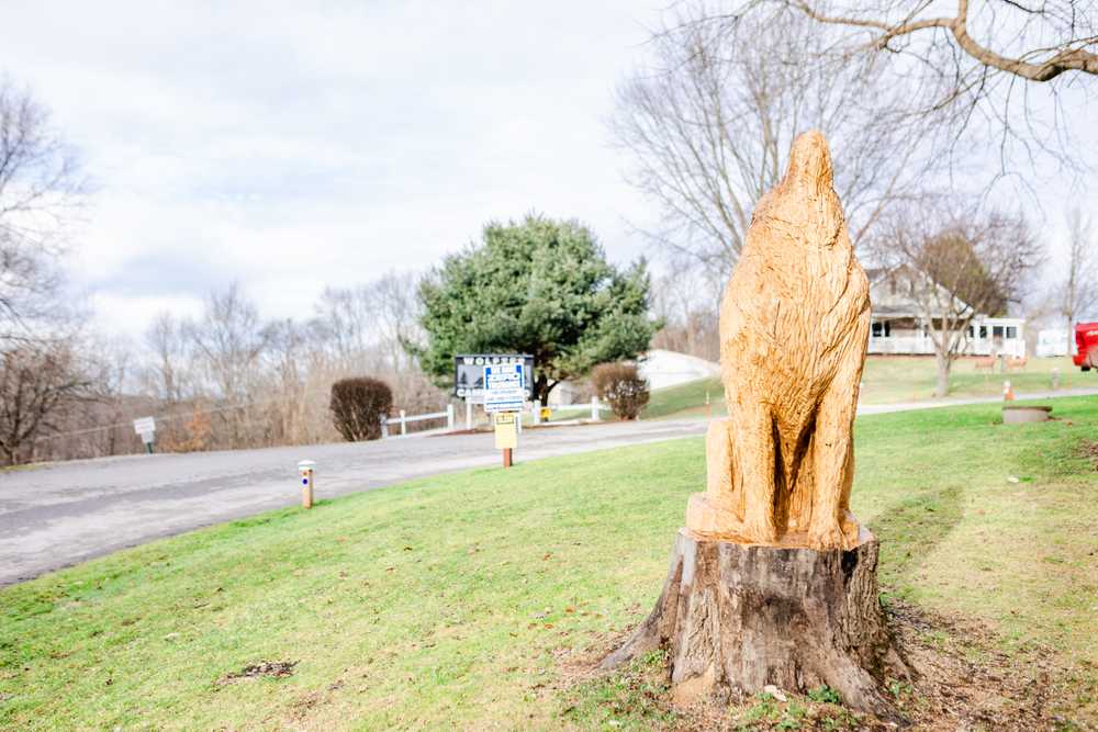 Wolfie's Campground - Photo 3