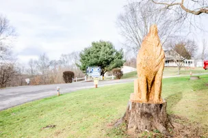 Wolfie's Campground – photo 3