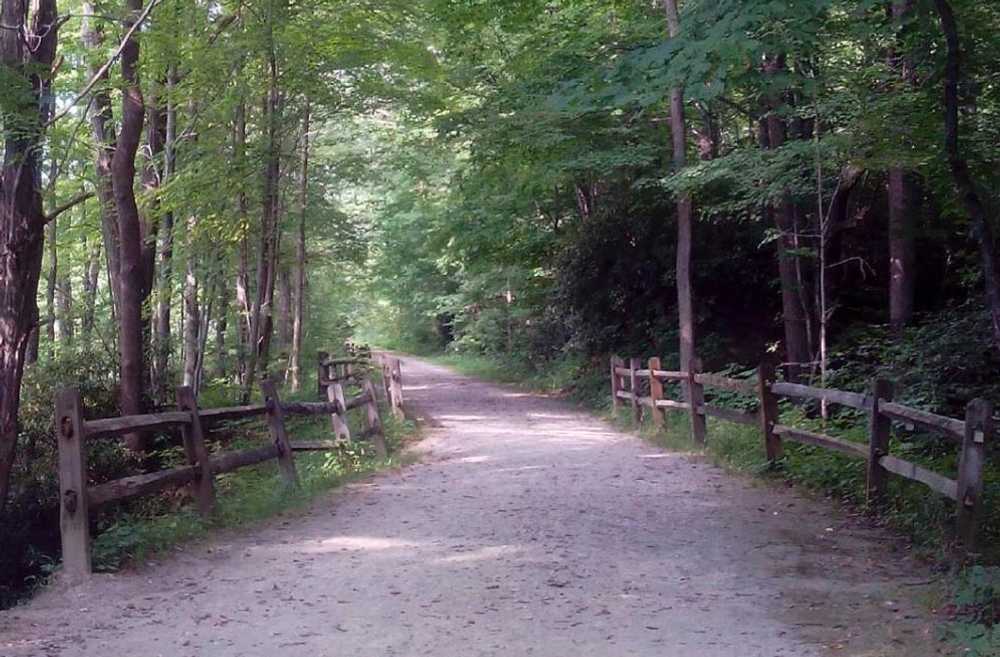 Mountain Pines Campground - Photo 3