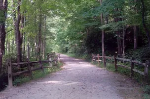 Mountain Pines Campground – photo 3