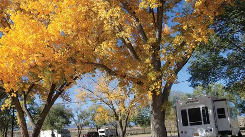 30/50 Amp Full Hookup RV Site — image 1 of 3