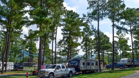 Premium Pull-Thru RV Site — image 2 of 4