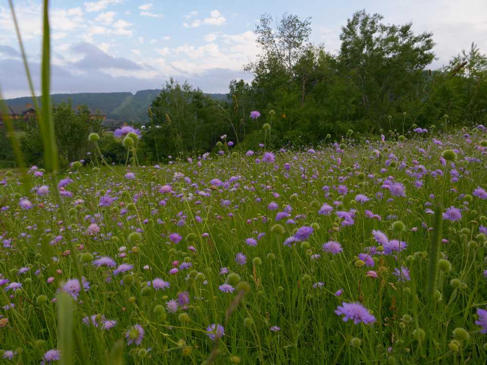 Greek Peak Mountain Resort Campground, Cortland, New York - Photo 4