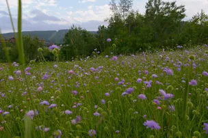 Greek Peak Mountain Resort Campground – photo 4