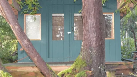 Lightning Cabin — image 2 of 5