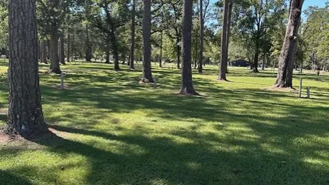 Primitive Tent Site — image 2 of 3