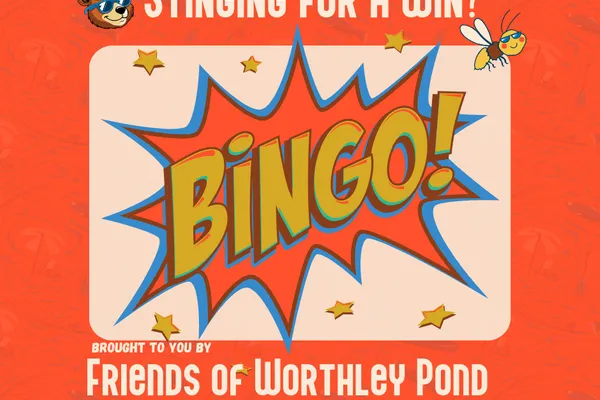 BINGO!
