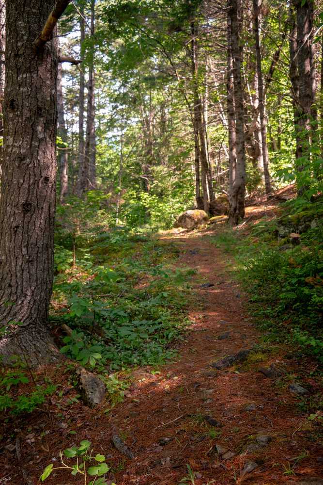 Park Image 15