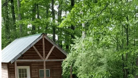 CABIN 40 — image 1 of 3