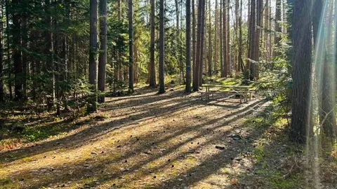 WOODED SITE 18 — image 4 of 4