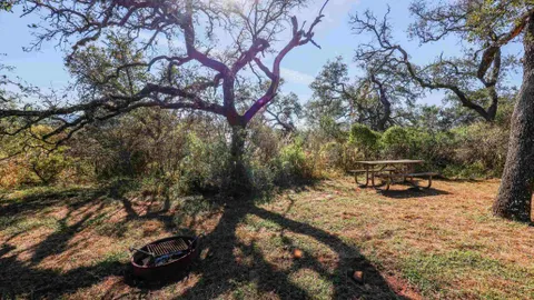 Tanner Point Campground — image 1 of 3