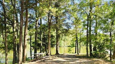 Lakefront Full Hookup — image 2 of 3