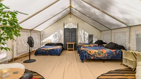 Deluxe Luna Bear Tent — image 10 of 10