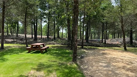 Back In RV site 6 — image 1 of 1
