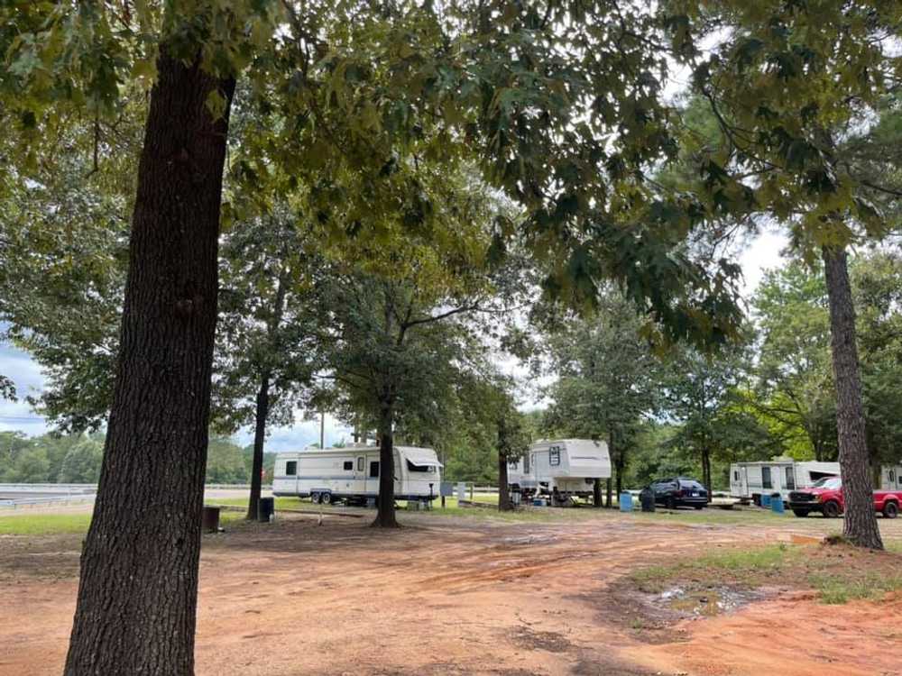 Twisted Pines RV Park - Photo 5