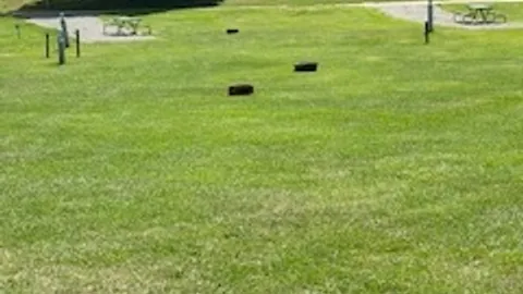 Back-In Water and Electric Site — image 2 of 3