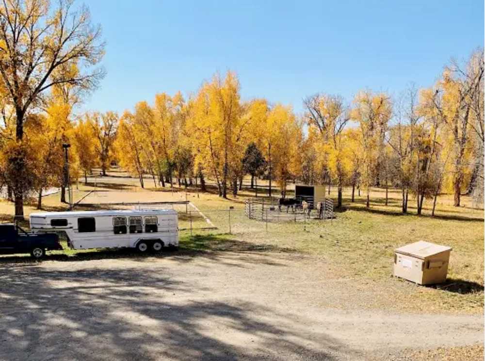 Down Home Lodge & Family RV Resort - Photo 3