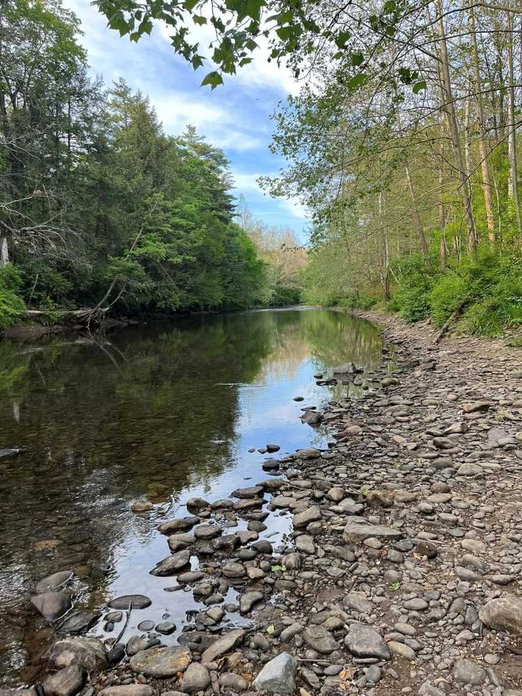 Squarewood Acres Campground, Trout Run, Pennsylvania - Photo 4