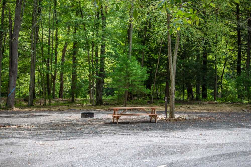 Non-Electric Riverfront Multi-Family Buddy Site