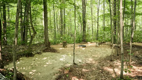 Wilderness Campsites - Main Park — image 1 of 23