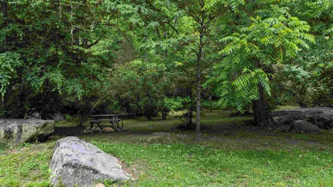 "Old Primitive" Large private site — image 1 of 1