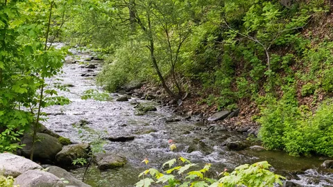 Creekside Basic Tent — image 3 of 3