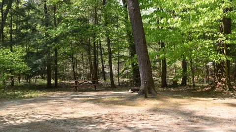 Dry Camping Wooded Site — image 1 of 3