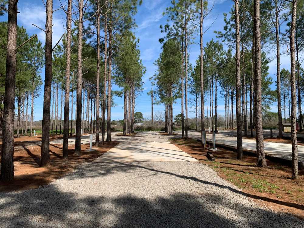 American Robin RV Park & Bird Sanctuary - Photo 2
