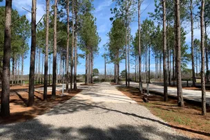 American Robin RV Park & Bird Sanctuary – photo 2