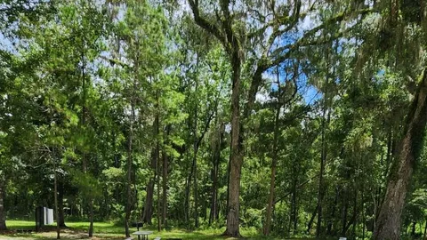 Full Hookup Site — image 2 of 49