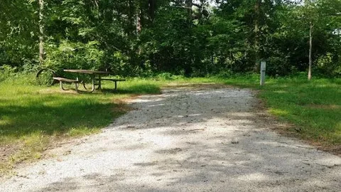 Electric Campsite — image 28 of 28